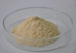 China High Quality Natural Glucoraphanin Broccoli Extract RAW Powder