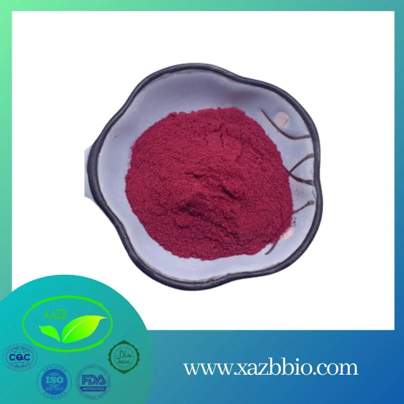 100% Natural Proanthocyanidins and Polyphenols Grape Seed Extract