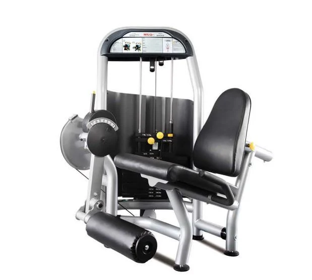 Good Quality Strength Leg Extension Machine Gym Equipment Fitness Equipments