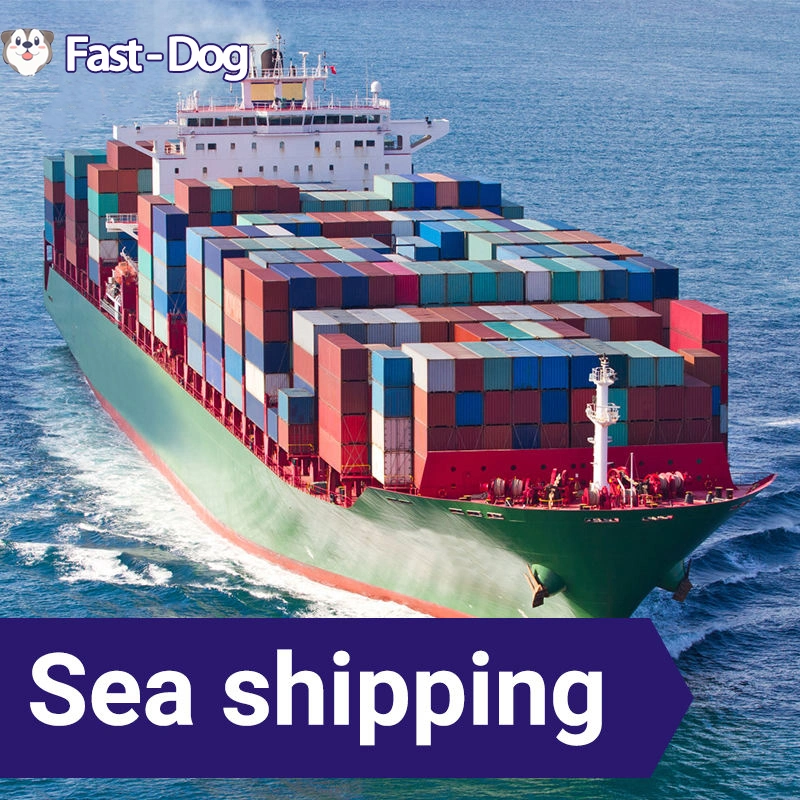 Sea Freight Forwarder Shipping DDU DDP Service to Us Europecanada Italy Netherlands