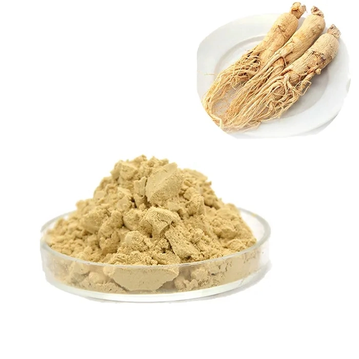 Extrait poudre Panax l'extrait de ginseng se vend