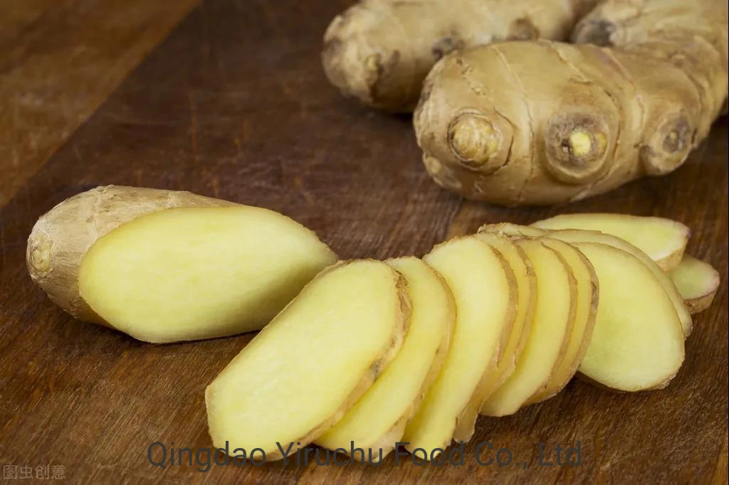 Chinese Dehydrated Vegetable Exporters Dried Ginger Slices/Ginger Dry Herbs Bulk