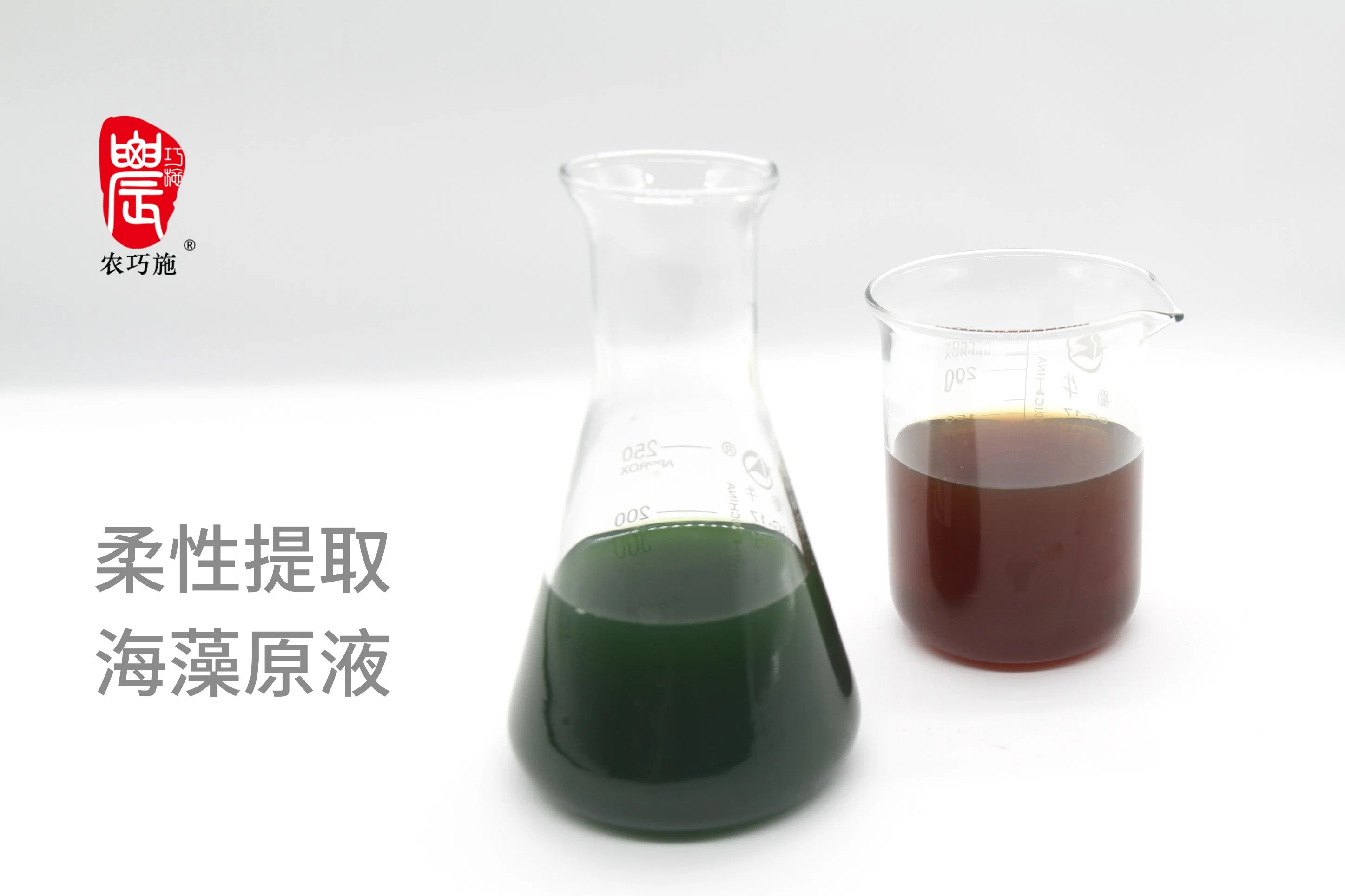 Bio Enzyme Decomposing Seaweed Extract Fertilizer for Plants and Fruits