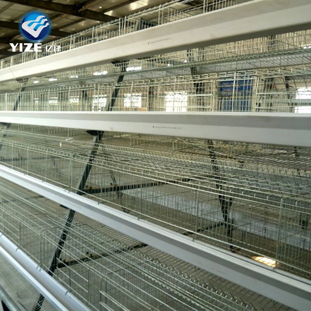 Camada de boa qualidade Cage de galinha Zimbabwe Farm avícula equipamento para