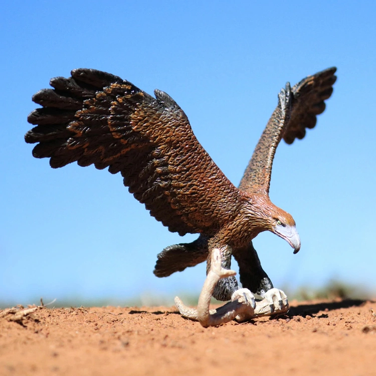 Garden Decoration Customized Size Wild Animal Statues Bronze Large Outdoor Eagle Statues