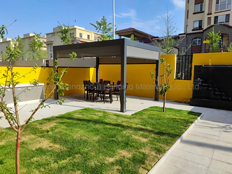 6X9 cenadores y rentable en el exterior de aluminio Long-Span pérgola del Louvre