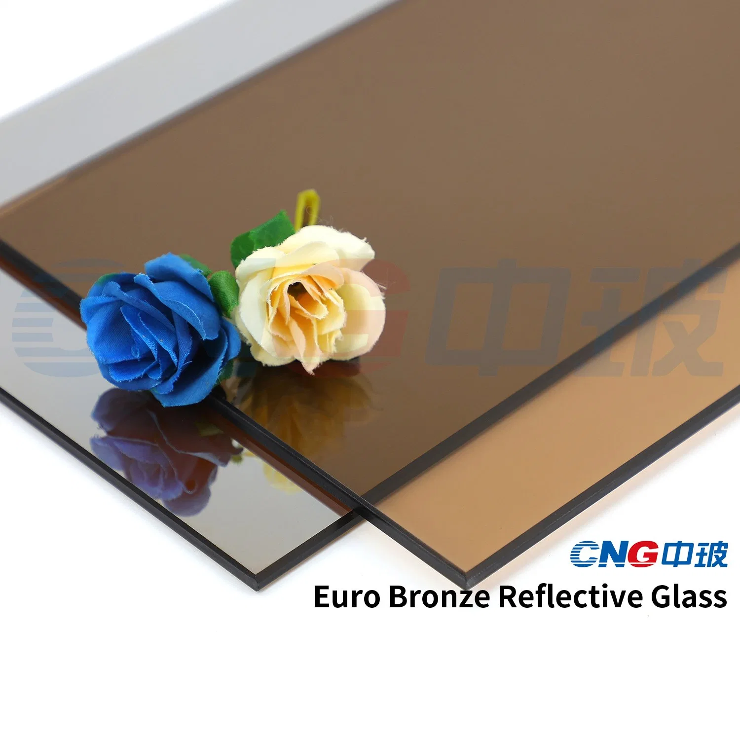 Klar Dunkelblau Grün Euro Bronze Grau CNG Float getönt Reflektierendes Glas