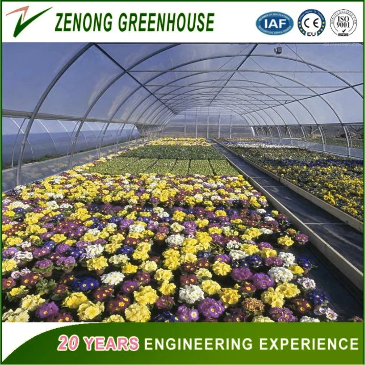 Hot Sale Commercial Tunnel Type PP Film Agriculture Greenhouse for Flower/Vegetable/Fruit/Planting/Farm/Aquaculture/Livestock Breeding/Ecological Restaurant