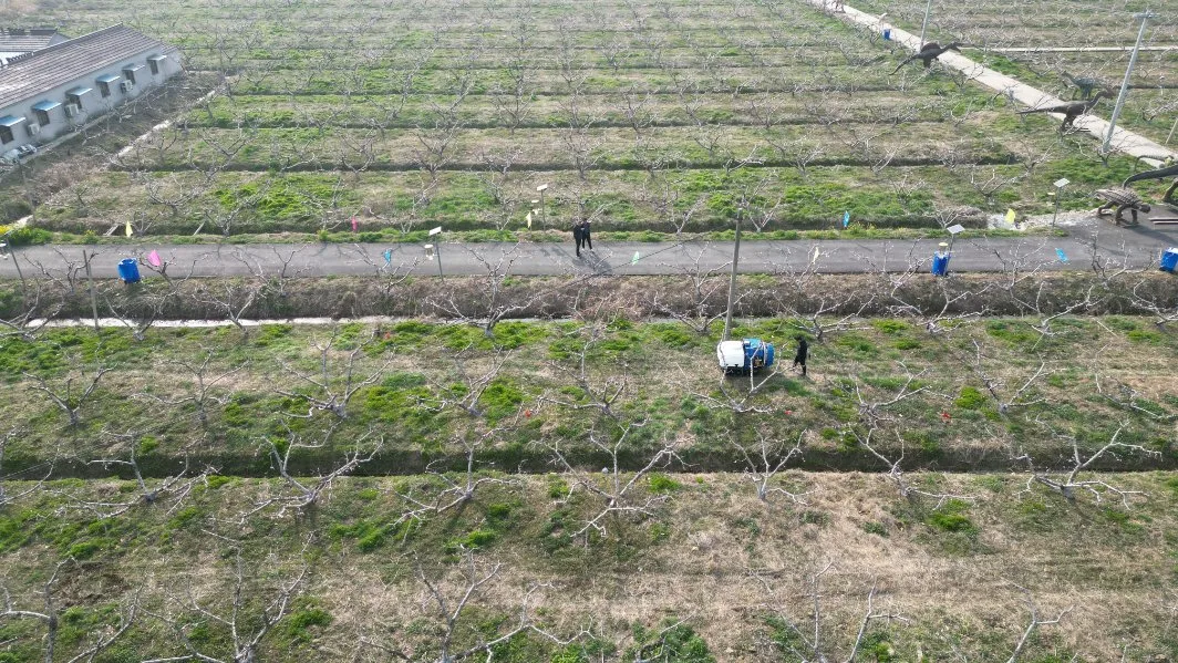 Robot agricole Smart machine agricole robot de pulvérisation de vignoble sans pilote