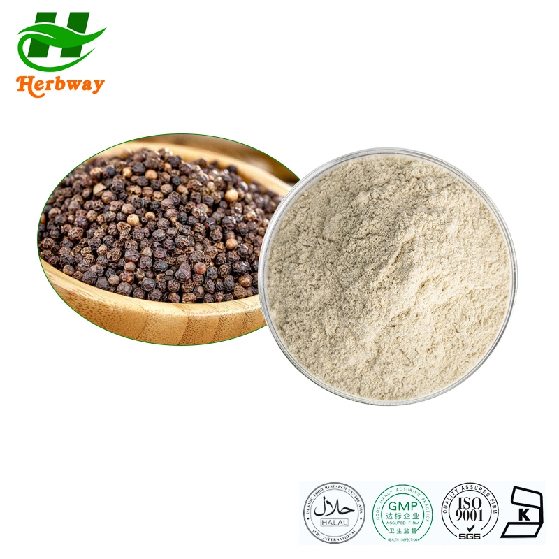 Herbway Chinese Supplier EU Organic Herb Extract Black Pepper Extract Piper Nigrum Extract Powder 95%98%Piperine