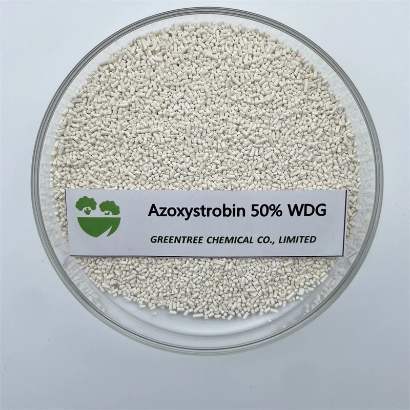 Cas No. 131860-33-8 تعقيم المبيدات Azoxystrobin 50% Wg