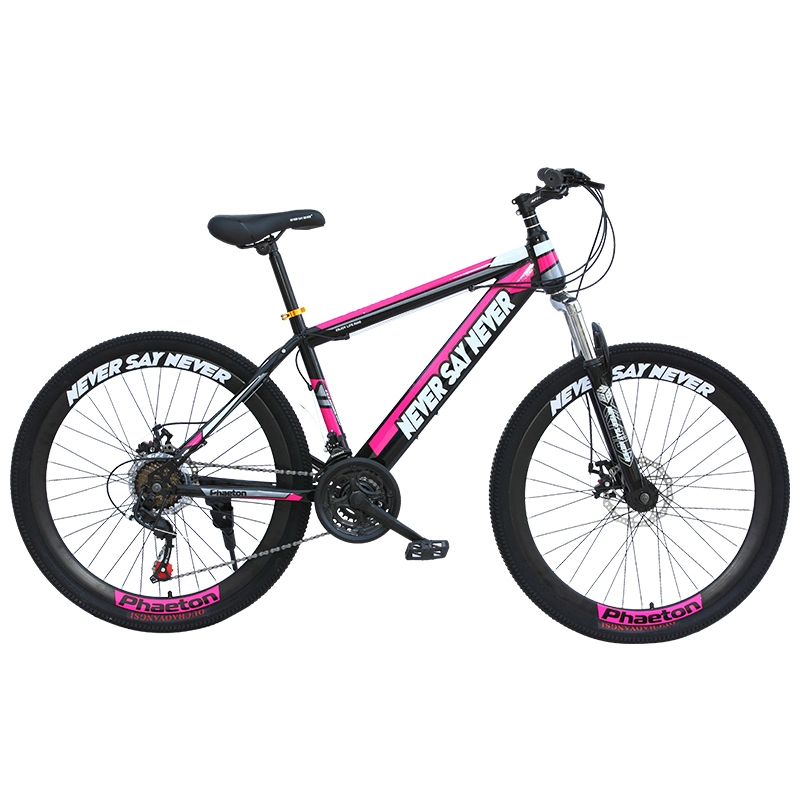 Chinese Cheap Mountain Bikes for Sale Adult Big Wheel Wide Tire