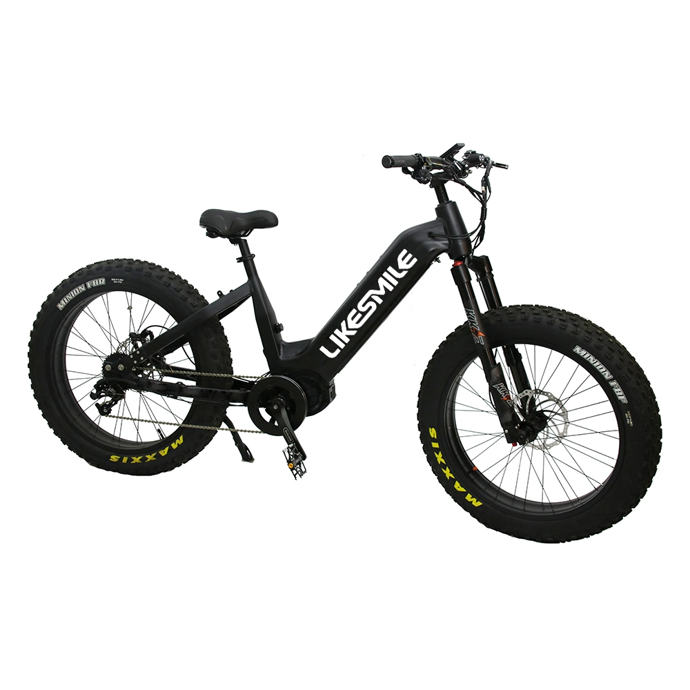 Bicicletas de montanha eléctricas com suspensão total de 48 V 1000 W 30 a, directamente do fabricante