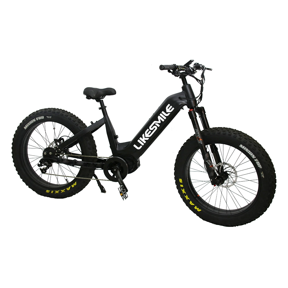 Vélos électriques tout-terrain avec suspension intégrale 48V 1000W 30ah, directement du fabricant.