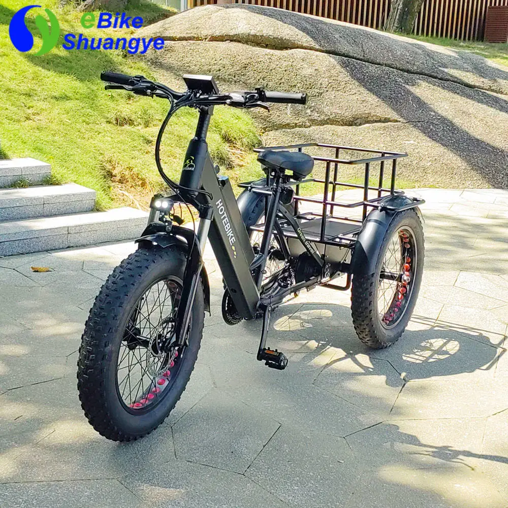 Hot Sell Cheap Trike Bike 13ah Lithium Battery Electric Tricycle 3 Wheel Electric Cargo Bike