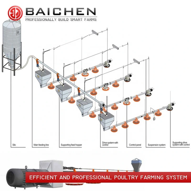 Chicken House Poultry Feeding Line Equipment with Pan Feeder