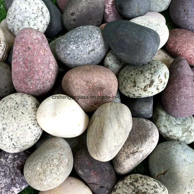 Wash Rain Flower Pebble Garden Decoration for Sale