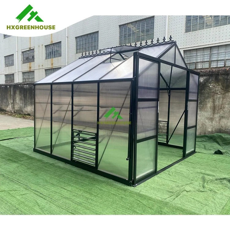 High Tunnel Greenhouse Steel Frame Hydroponic for Chickens