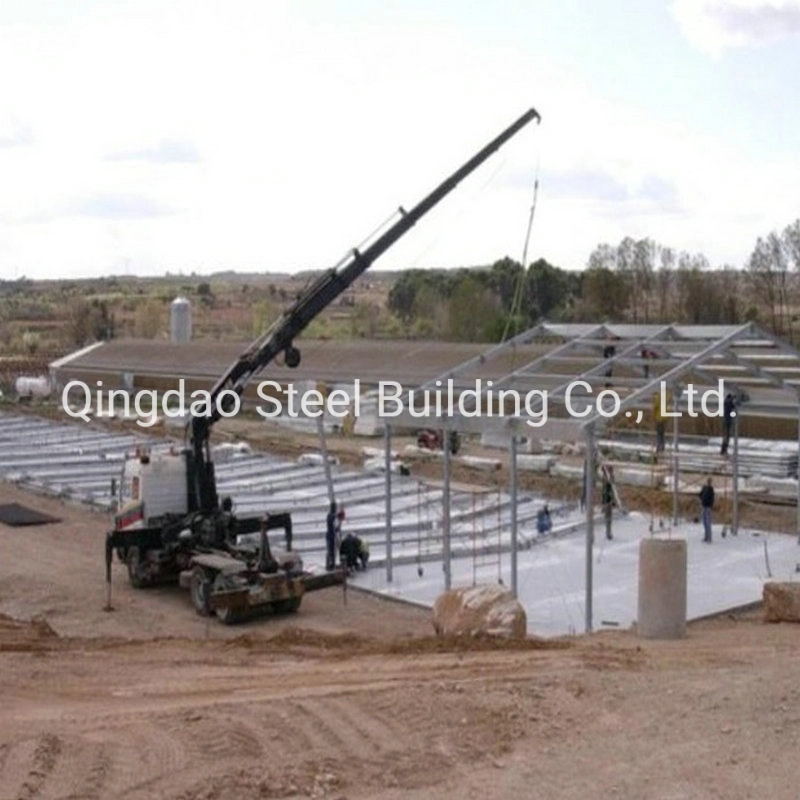 La estructura de acero galvanizado para la construcción de la casa de aves de corral prefabricados granja de pollos parrilleros materiales de construcción de la casa de diseño derramada