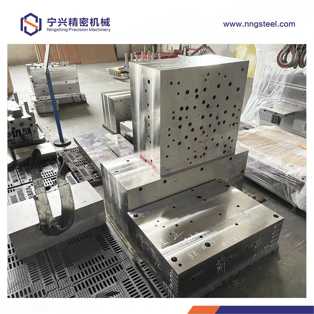 Injection Mold/Orientation Mold/Magnet Injection Mold/Mould