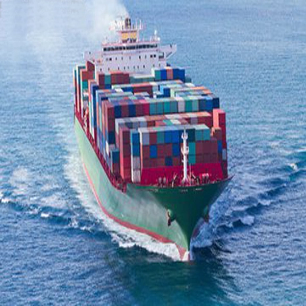 Professional Sea Forwarder Specailizing in Laredo, Tx, USA