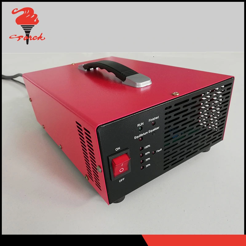 Lead Acid Lithium Ion Battery Charger