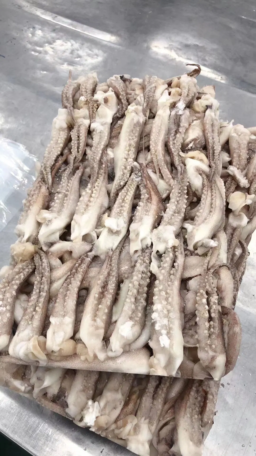 Замороженных морепродуктов кальмара семейства Illex/Tentacle Calamar о борьбе с терроризмом