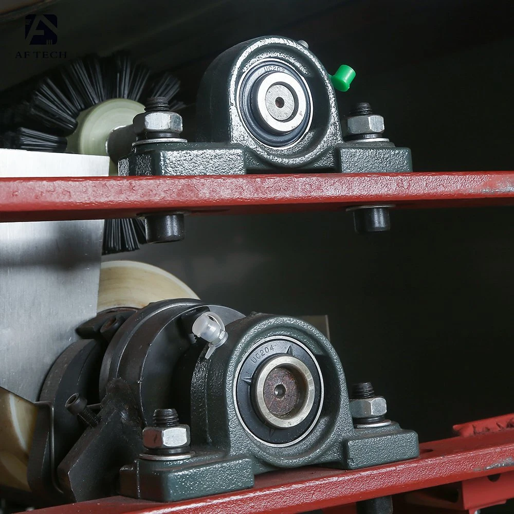 Machine d'ouverture de découpe de lame de scie sous vide pour les noix de macadamia dans une usine de collations.