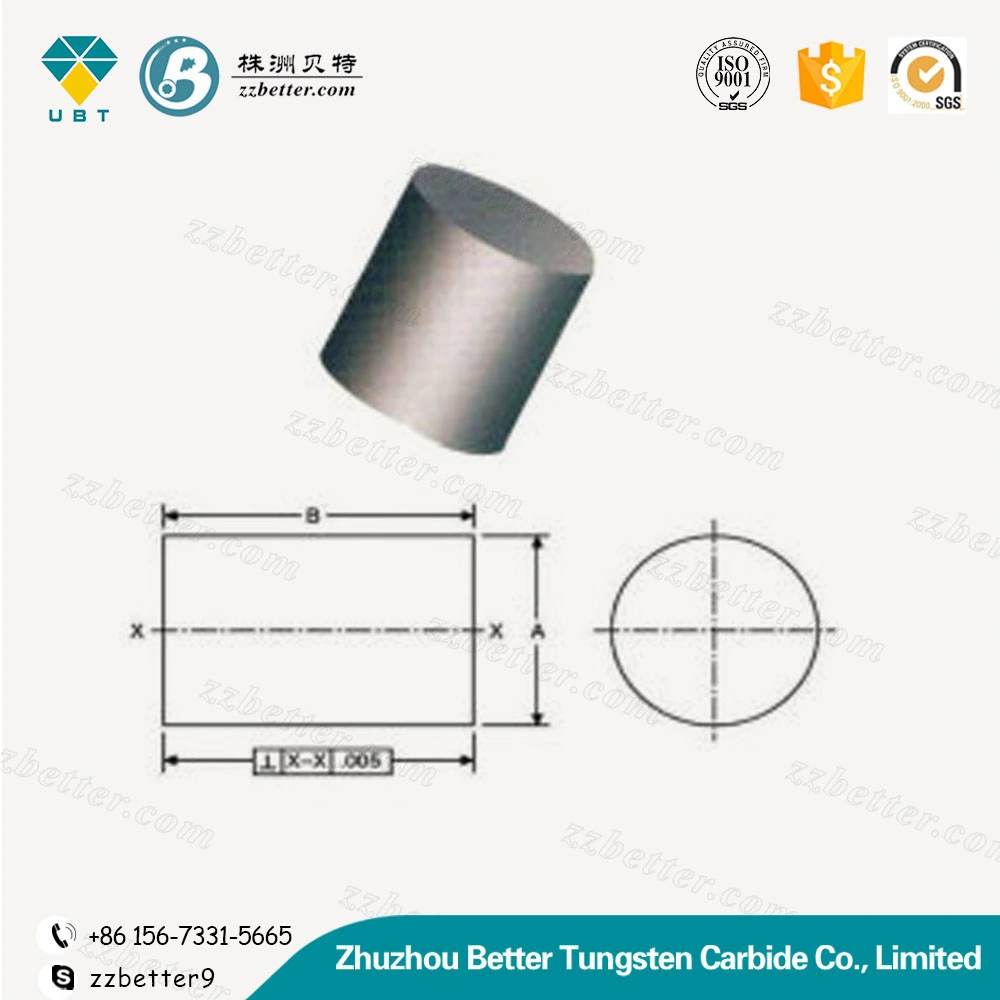 Cemented Carbide Burrs Blank Rotary Burrs