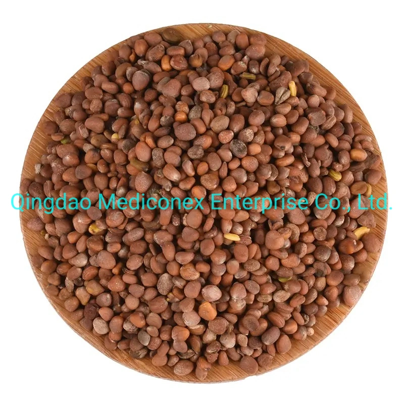 Raphanus Sativus Seed Natural Herb Plant Prepared Traditional Chinese Herbal Medicine Indigestion