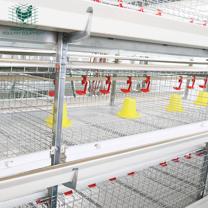 Hot Sale H Type Growing Broiler Chicken Cage for Automatic Broiler Equipment