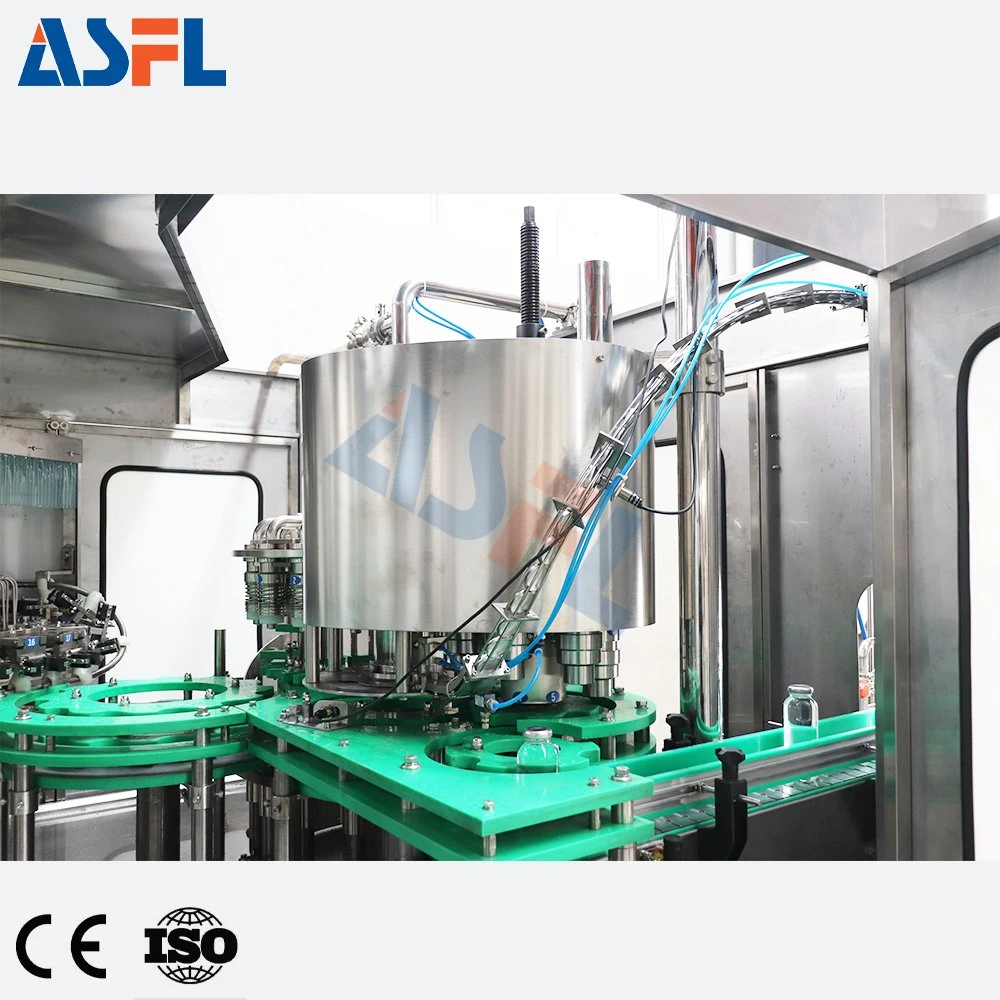 Customized Fruit Juice Production Line for Glass Bottling Processing