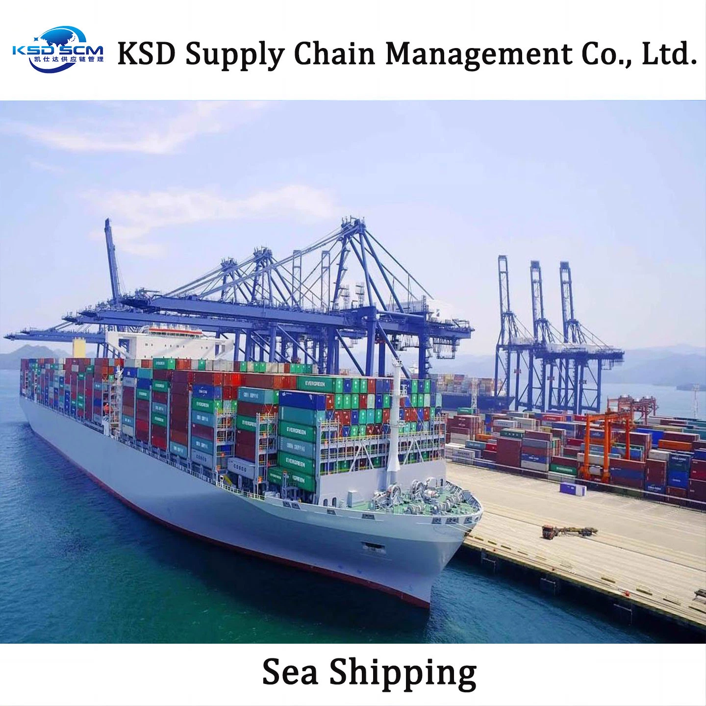 Ocean Shipping 20FT 40FT Container Agent Freight Forwarder From Qingdao China to Indian