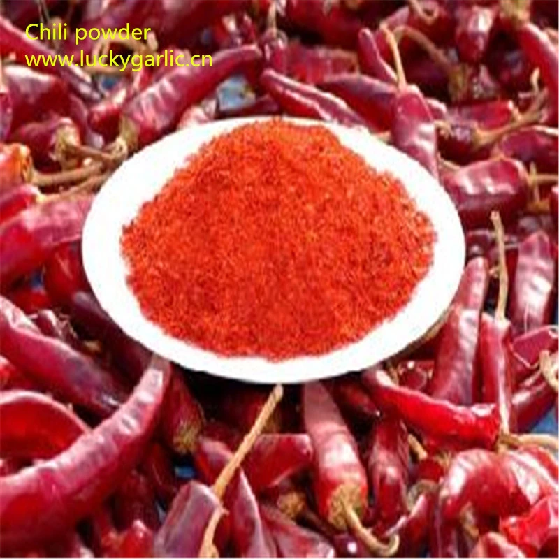 Good Quality for America Red Chili