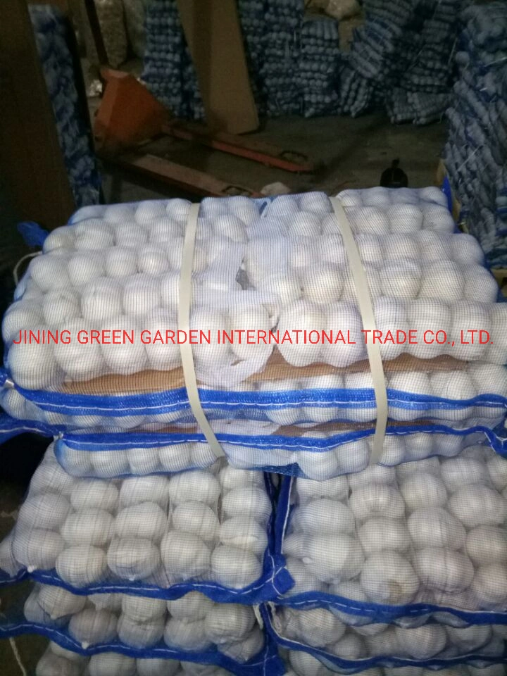 No.1 Top Quality Good Quality High quality/High cost performance  Cheap Price China Fresh White Garlic Normal White Snow White Pure White Vary Packing,4.5,5.0,5.5,6.0,6.5 and up Size,