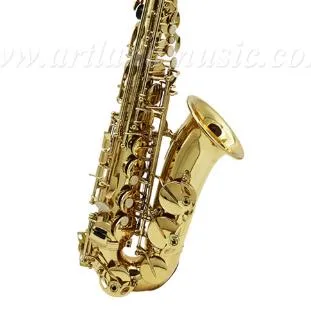 Gold Lacquer Alto Saxophone (AAS4505G) with Case