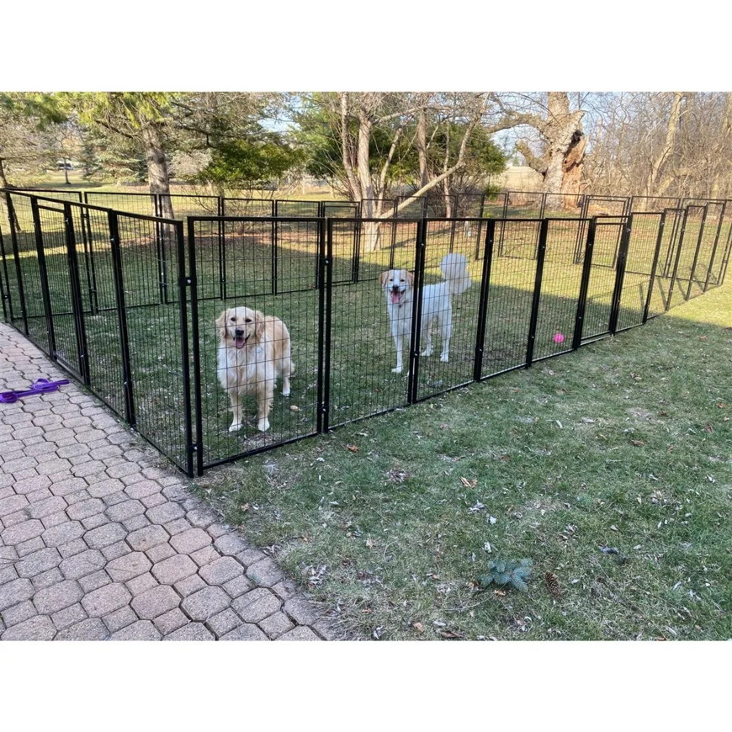 Dog Fence PVC Powder Coated Dog Kennel Welded Wire Mesh Chain Link Fence