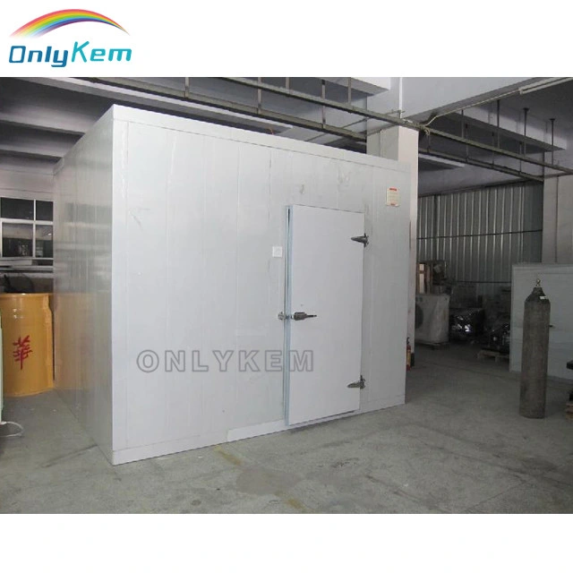 Freezer/Freezer Room/Walk in Freezer to Store Frozen Meat/Frozen Fish