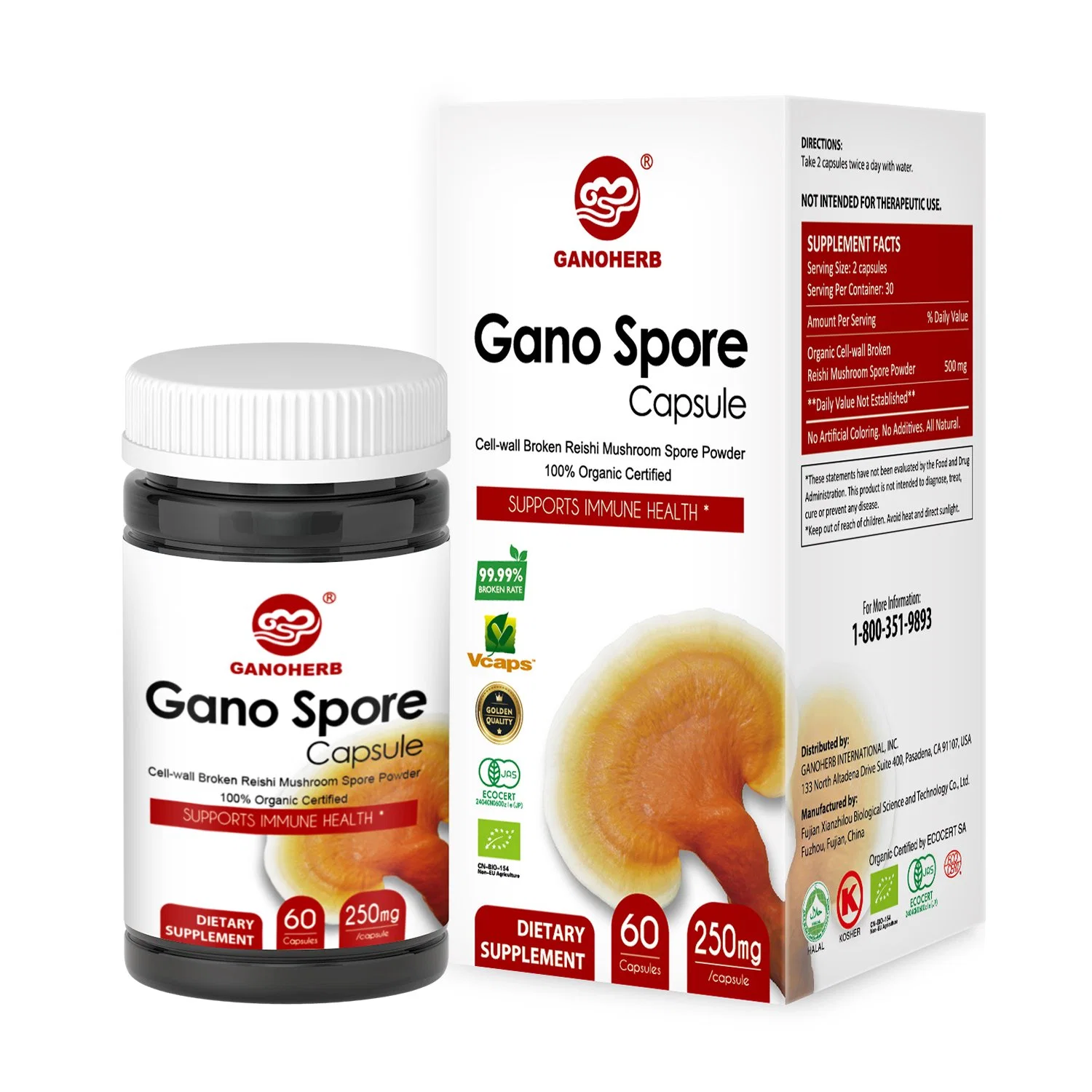 Halal HACCP ISO USA Euro Organic Certificated OEM Cell-Wall Broken Spore Powder Capsule Organic Reishi Mushroom Spore Capsules