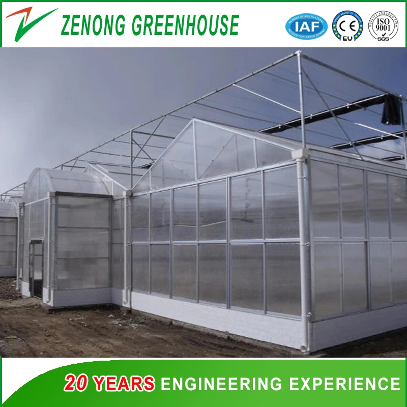 Prefabricated Building Polycarbonate Sheet Multi-Span Greenhouse for Tourism/Flower Cultivation/Seedling Breeding