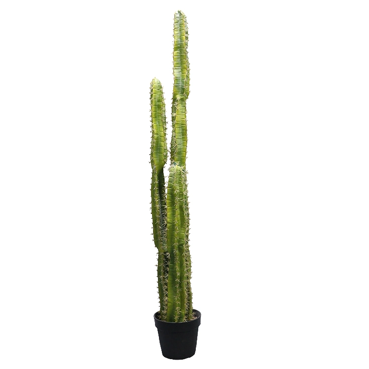 Perfecta calidad Alta columna de cactus Bonsai decoración Cactus artificial Potted Plantas