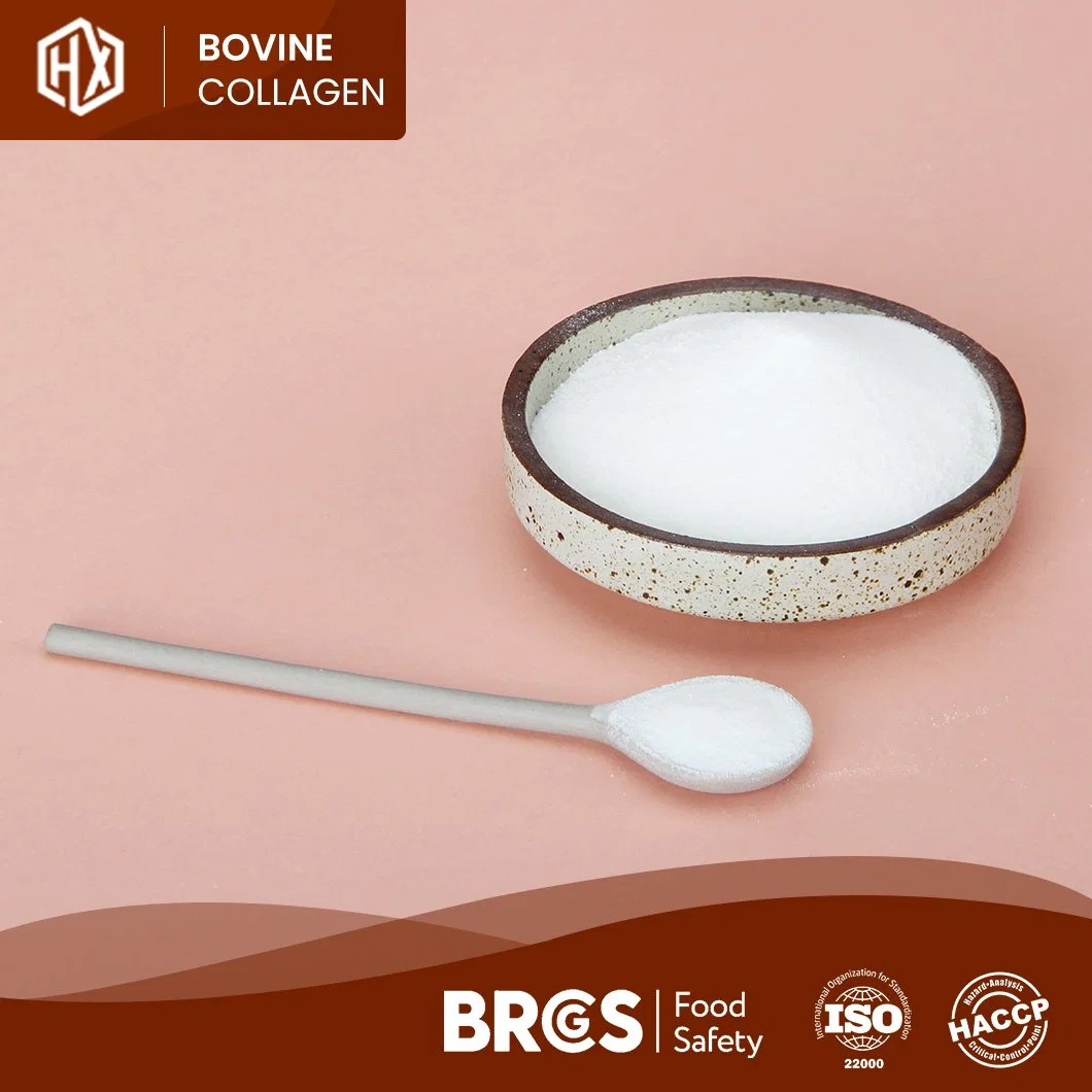 Haoxiang Wholesale/Supplier Custom China Hydrolyzed Bovine Hide Collagen Peptides Powder Manufacturing ODM OEM Custom Bulk Bovine Hides Collagen/Bovine Skin Collagen