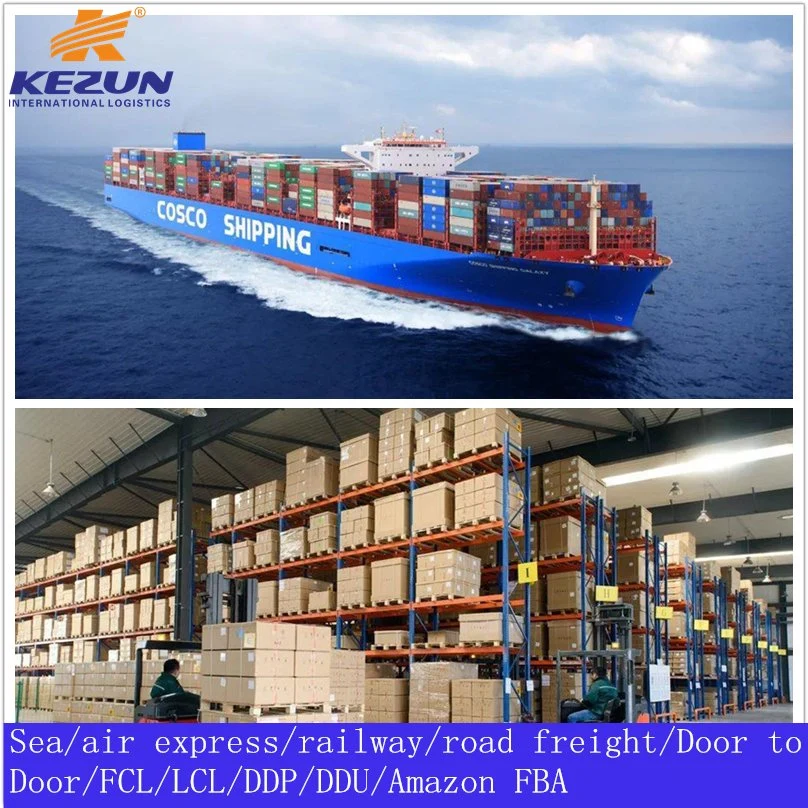 Reliable China to USA Ocean Freight Logistics FCL/LCL Shipping From China to Miami Port