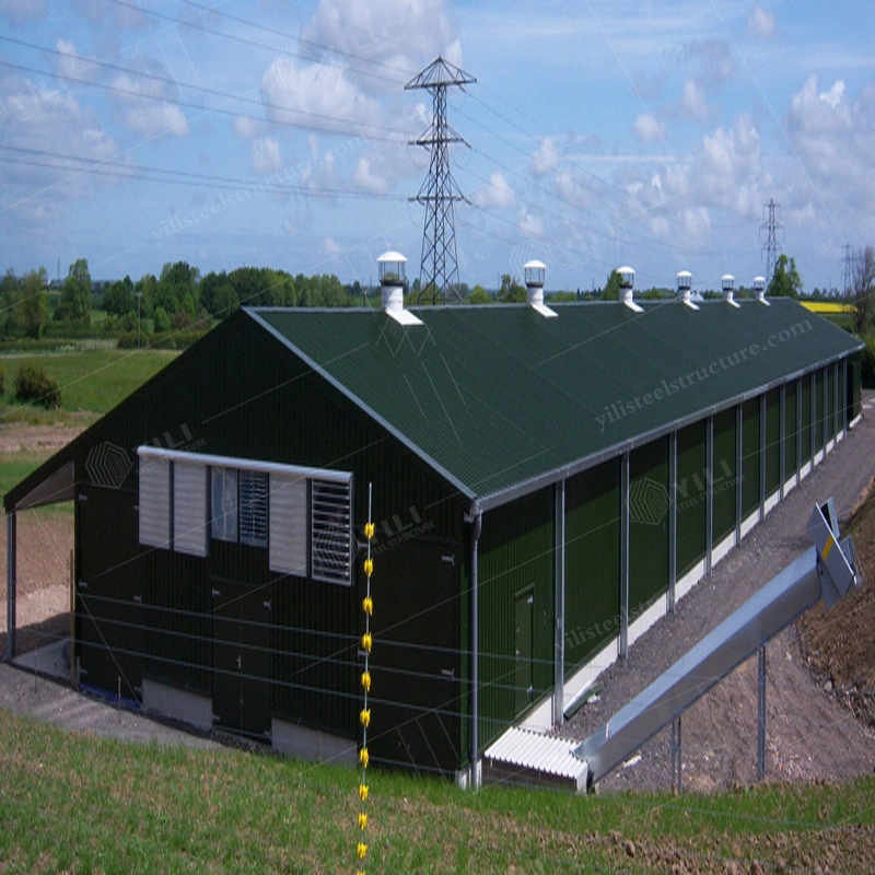 Steel Structure Broiler Poultry Farm House