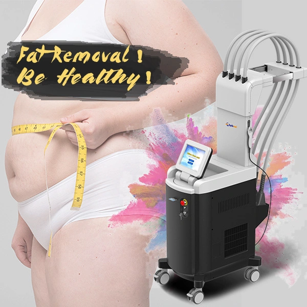 Non-Portable Aluminum Box Packing Sculpture Laser Fat Removal Slimming Device