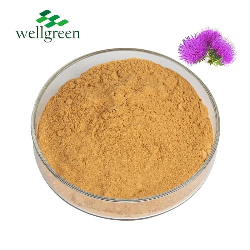 Wholesale 80% Silibin Silymarin Powder Milk Thistle Extract