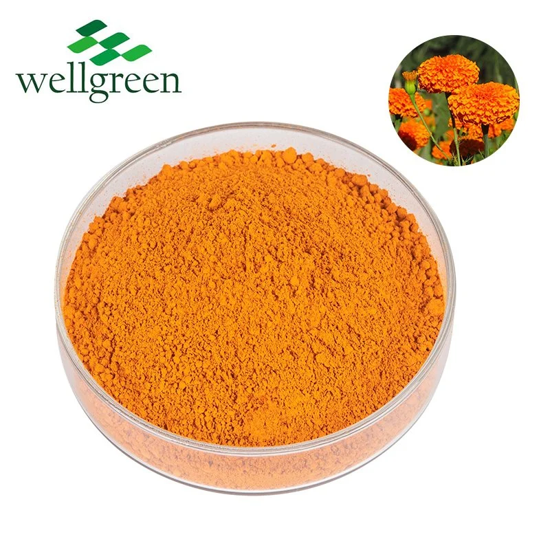 Wellgreen Futterqualität Ringelblume Extrakt Tier Natürliche Futtermittel Pigment Zusatzstoffe 2 % Orange Lutein Pulver