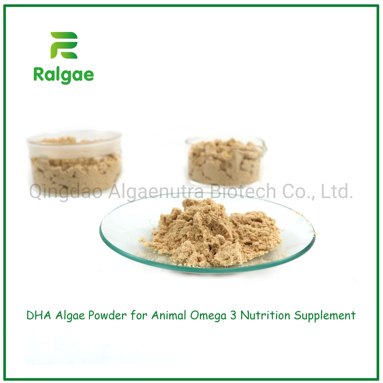 Microalgae Schizochytrium Powder Feed Grade 18% DHA for Pet Nutrition Supplements CAS6217-54-5