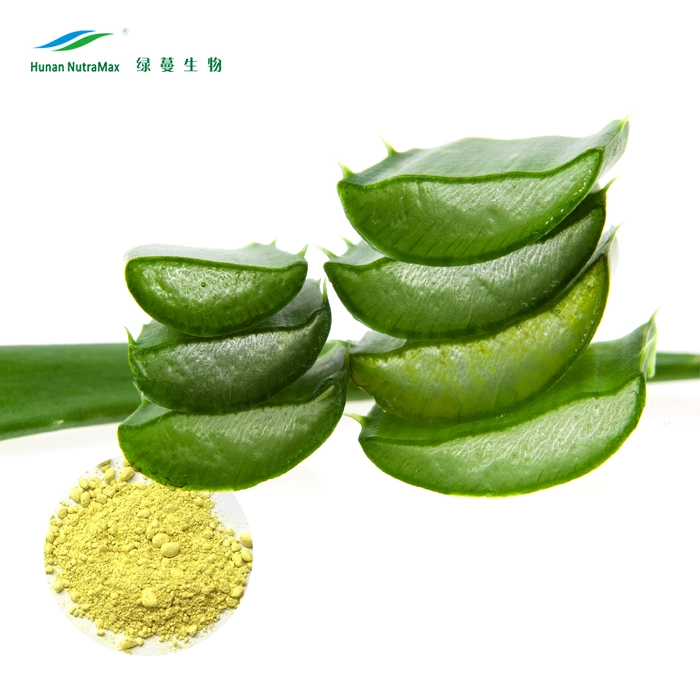 Cosmetics Grade Aloe Vera Extract Powder Water Soluble 10%~60% Barbaloin