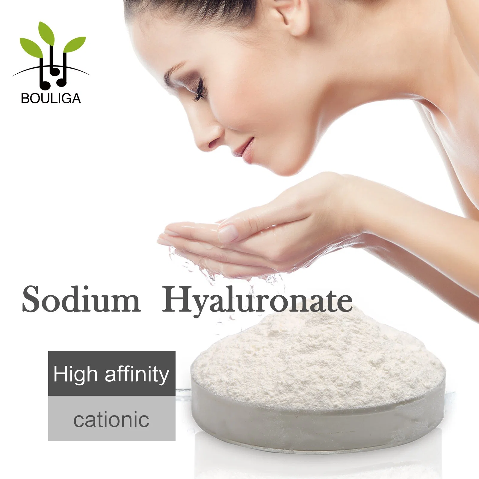 Sodium Hyaluronate Raw Material Food Grade Hyaluronic Acid Powder